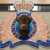 Manitoba RCMP say 10-year-old dead after snowmobile hits tree