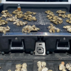 Ontario resident fined for overharvesting oysters while vacationing in BC