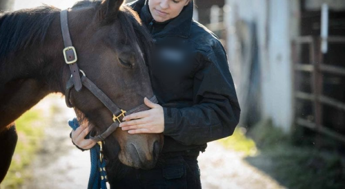 BC woman pleads guilty in court after horse found in 'critical distress'