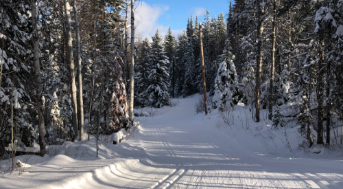 Telemark Nordic Club ready to welcome the public for the season