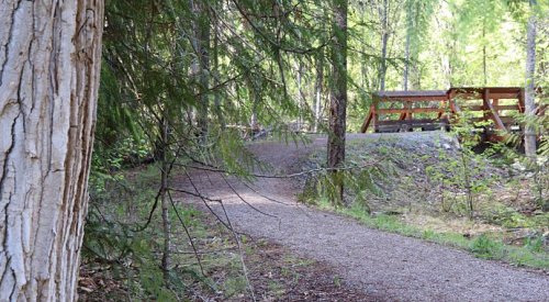 Trails in Scenic Canyon Regional Park now closed until end of November